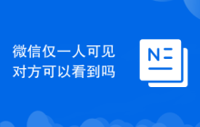 微信仅一人可见对方可以看到吗