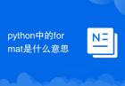python中的format是什么意思
