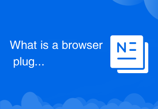 Was ist ein Browser-Plugin?