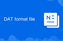 DAT format file
