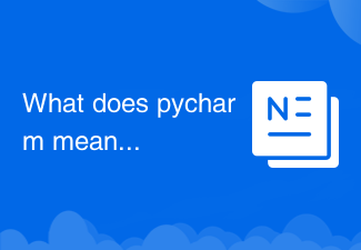 pycharm が並列実行されるときの意味は何ですか?