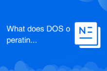DOS 운영 체제는 무엇을 의미합니까?