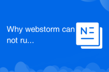 Warum Webstorm die Datei nicht ausführen kann