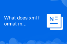 What does xml format mean