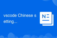vscode Chinese setting method