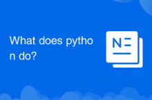 파이썬은 무엇을 합니까?