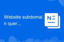 Website subdomain query tool