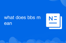 Was bedeutet BBS?