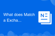 Was macht Matcha Exchange?