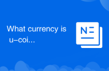 What currency is u-coin?