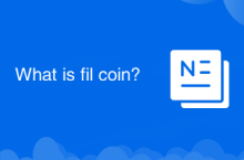 What is fil coin?