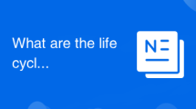 What are the life cycles of vue3
