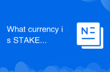 What currency is STAKE?