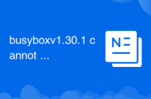 Busyboxv1.30.1 ne peut pas démarrer