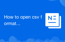 How to open csv format file