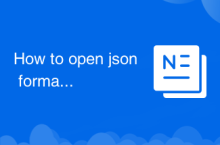 How to open json format