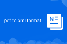 PDF- ins XML-Format