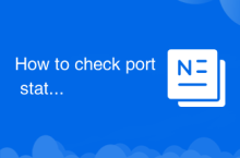How to check port status with netstat
