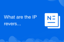 IP 역방향 도메인 이름 확인 도구는 무엇입니까?