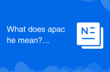 What does apache mean?