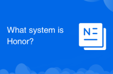 What system is Honor?