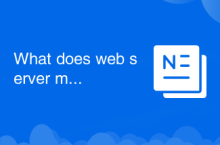 What does web server mean?