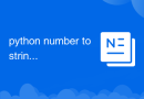 python number to string