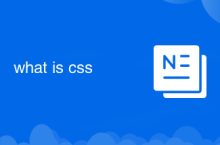 CSS는 무엇입니까?