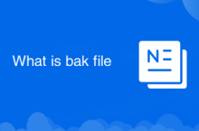What is bak file