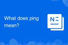 What does ping mean?