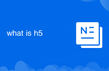 h5는 무엇입니까?