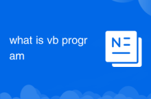 what is vb program