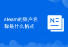 steam的账户名称是什么格式