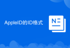 AppleID的ID格式
