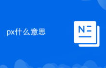 px什么意思