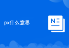 px什么意思