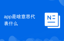 app是啥意思代表什么
