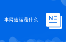 丰网速运是什么