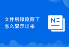 文件后缀隐藏了怎么显示出来