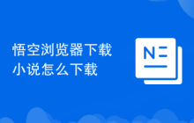 悟空浏览器下载小说怎么下载