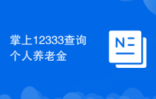 掌上12333查询个人养老金
