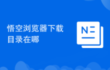 悟空浏览器下载目录在哪