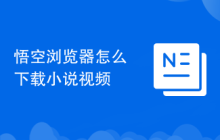 悟空浏览器怎么下载小说视频