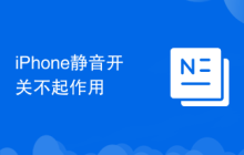 iPhone静音开关不起作用