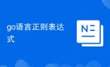 go语言正则表达式