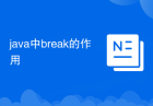 java中break的作用