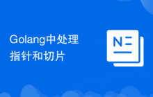 Golang中处理指针和切片