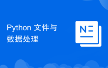 Python 文件与数据处理
