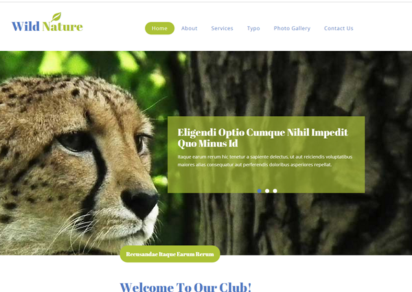绿色简洁野生动物园官网企业模板