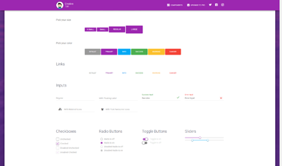 紫色大气bootstrap UI皮肤html5模板